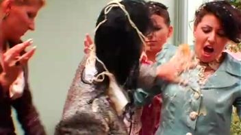 Buffet Babes go Bonkers! Screencap 61 on www.sinx.com