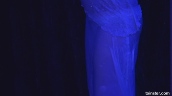 White Sensation Part 4 - Cam 4 Screencap 22 on www.sinx.com