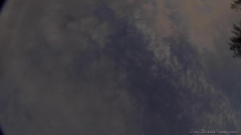 Pound And Piss From The Other Side Of The Fence Screencap 100 on www.sinx.com