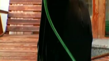 Wash and Wear Screencap 38 on www.sinx.com