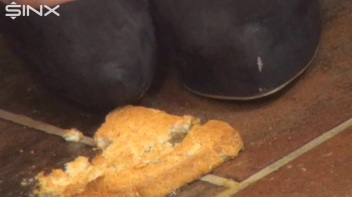 Brunette Babe Crushes Food And Licks Toes Screencap 14 on www.sinx.com