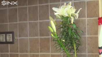 Brunette Babe Crushes Food And Licks Toes Screencap 1 on www.sinx.com