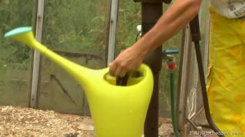 The Swinging Surprise Screencap 8 on www.sinx.com