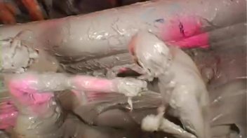 Mudslinging Eurobabes Screencap 56 on www.sinx.com